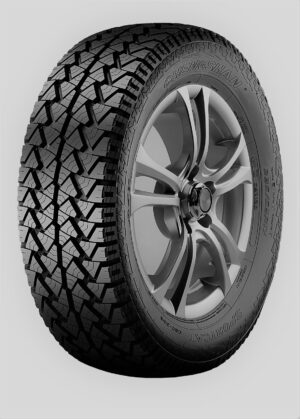 245/65R17T CSC302